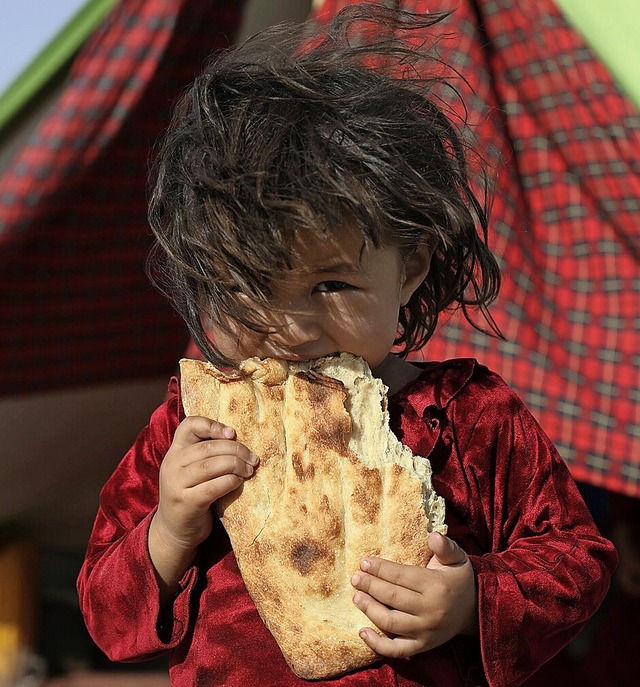 Tglich berqueren 1000 bis 1500 Flch...aus Afghanistan die Grenze zur Trkei.  | Foto: Rahmat Gul (dpa)