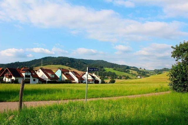 Stegener will gegen Baugebiet klagen