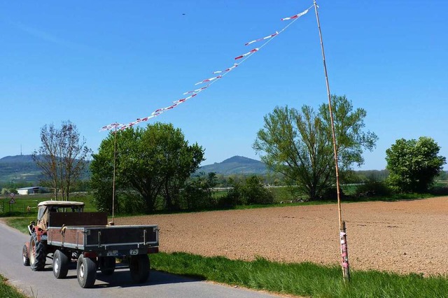 Die Breisacher Grnen frchten Nachtei...t wie hier bei Gottenheim/Wasenweiler.  | Foto: Sattelberger