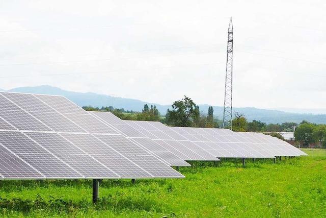 Solarmodule in Eimeldingen wurden ohne Genehmigung errichtet
