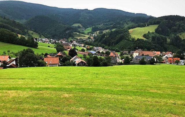 Auf dem Gelnde am Steiertenhof in Oberried soll gebaut werden.  | Foto: Michael Drfler