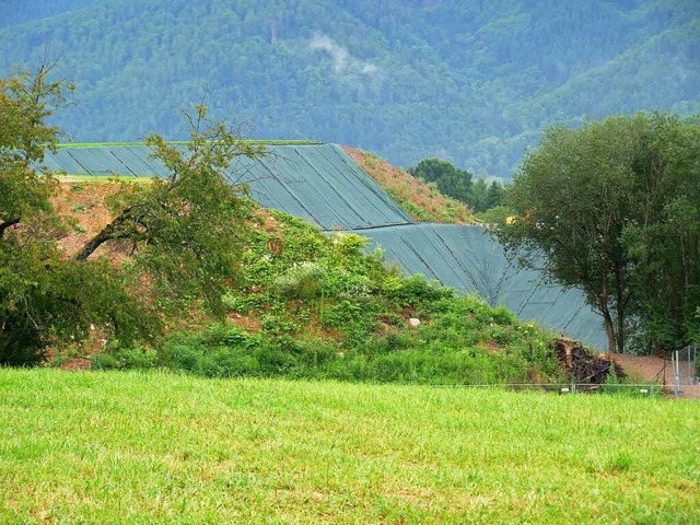 So sieht der Schutzwall bei der Schie... Hochrhein&#8220; in Wehr derzeit aus.  | Foto: Michael Gottstein