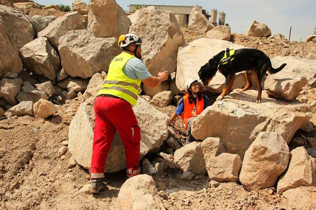 Gefunden! Dieser Rettungshund hat zwis... vermeintlich vermisste Frau entdeckt.  | Foto: Mario Schneberg