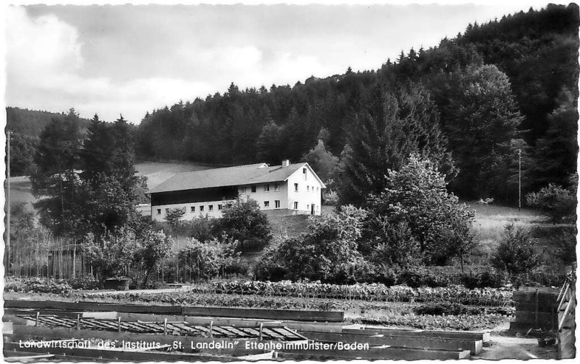 Das Bild zeigt die Badwiese (im Vordergrund) als Nutzgarten im 20. Jahrhundert.  | Foto: Repro: Wolfgang Hoffmann