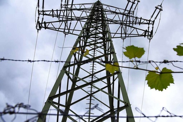 Lrrach greift nach dem eigenen Netz (Symbolbild)  | Foto: Jonas Hirt