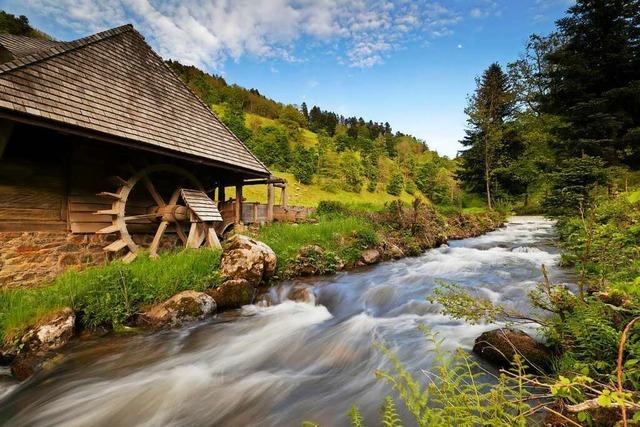 Das Glottertal ist mehr als Schwarzwaldklinik und Touristenmagnet