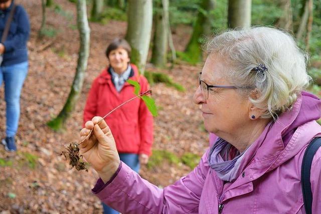 Waldbaden in Ettenheimmnster mit der Badischen Zeitung