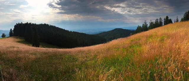 Ausblick vom Sonnhaldenberg  | Foto: Felix Paulo