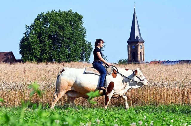 Sonja Keller reitet mit Kuh Melina aus  | Foto: Uli Deck (dpa)