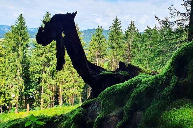 Macht Nessie Urlaub im Schwarzwald?