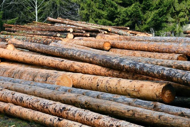 Holz ist seit Beginn des Jahres knapp und teurer geworden.  | Foto: Thomas Biniossek