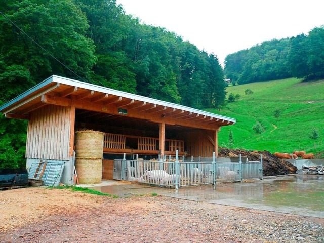 Der neue Schweinestall wurde 2019 erbaut.  | Foto: Nina Herrmann