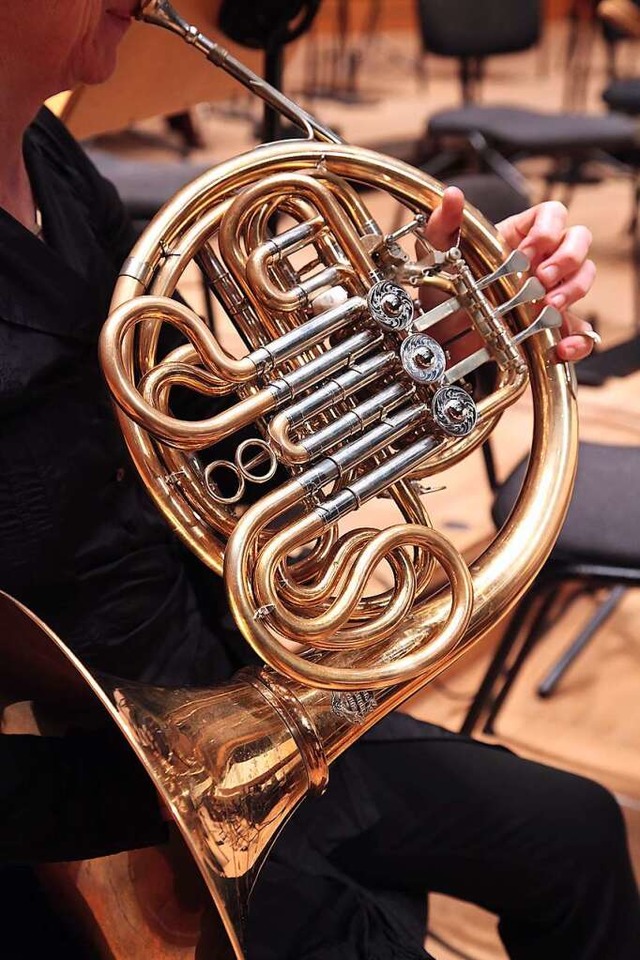 Auch das Horn (Bild) ist diesmal beim Deutschen Musikwettbewerb dabei.  | Foto: Axel Nickolaus