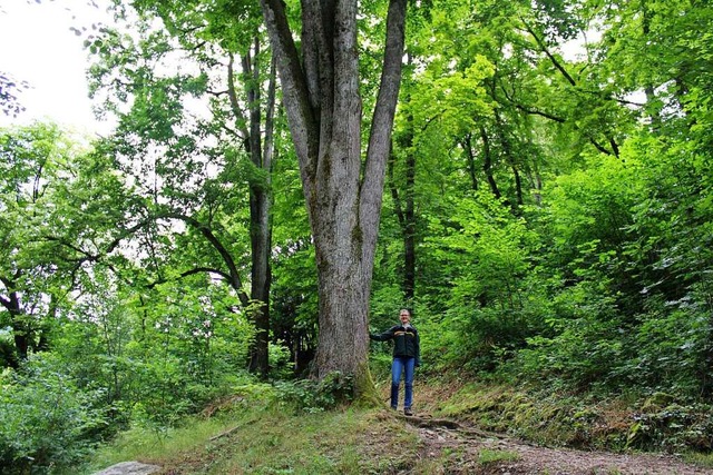 Im Todtnauer Wald fhlt Susanne Berger sich wohl.  | Foto: Manuel Hunn