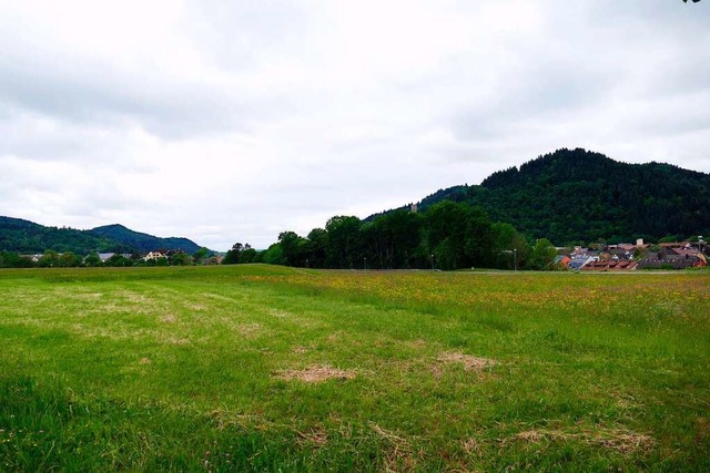 Die Firma Faller will auf dieser Grnf...oberhalb des Kollnauer Bahnhofs bauen.  | Foto: Sylvia Sredniawa