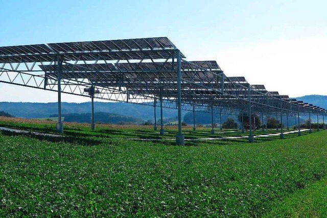 Durch Agriphotovoltaikanlagen, wie hie...leichzeitig Solarstrom erzeugt werden.  | Foto: Fraunhofer ISE