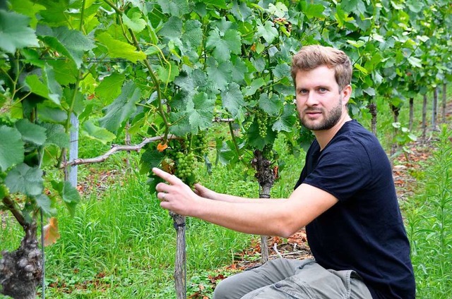 Johannes Werner ist seit fnf Jahren W...en Ortenau und im nrdlichen Breisgau.  | Foto: Hubert Rderer