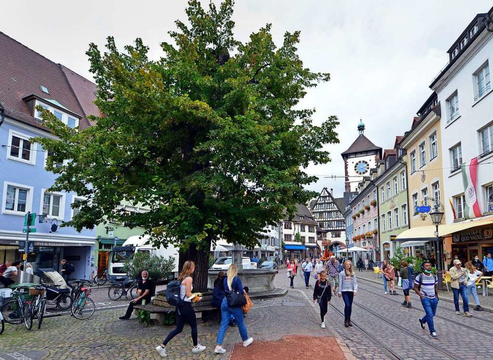 Die Linde in Oberlinden, wieder ergrnt  | Foto: Michael Bamberger
