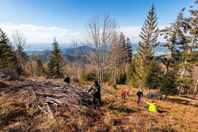 Beim &#8222;Voluntourismus&#8220; knn...eitung etwas Gutes fr die Umwelt tun.  | Foto: Naturpark Sdschwarzwald/Sebastian Schrder-Esch