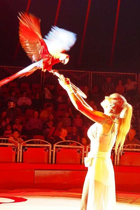 Der Moskauer Circus in Weil am Rhein  | Foto: Herbert Frey