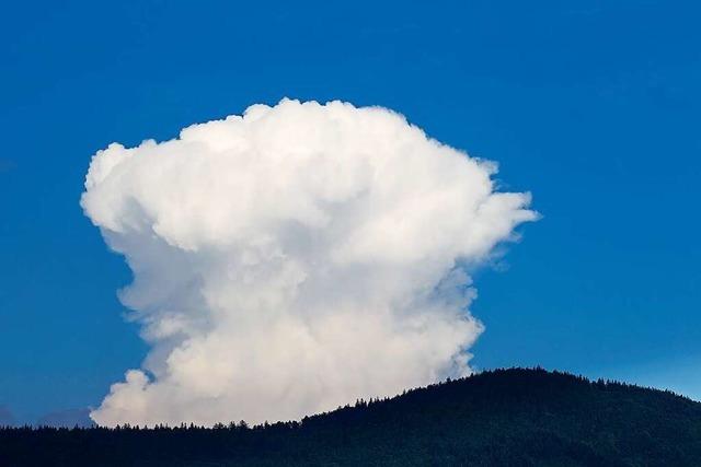 Diese Cumuluswolke sieht ein bisschen aus wie ein Atompilz