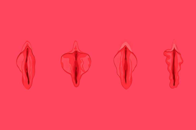 Vulva sollte kein Tabu sein