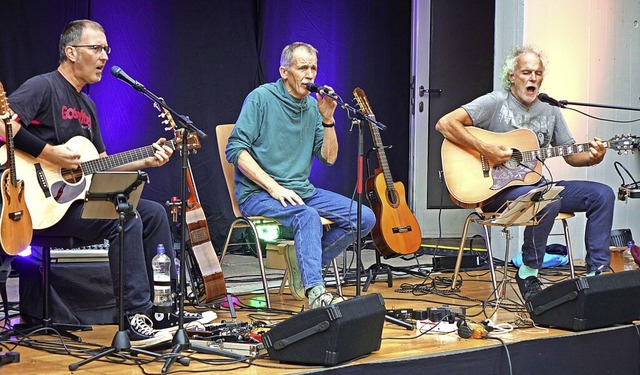 Die Folk-Rock-Formation Goschehobel mi...uhlkonzert im Hof der Stadthalle Wehr.  | Foto: Roswitha Frey