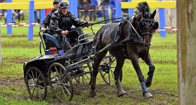 Im Matsch blo nicht festfahren: Gnte... musste sein ganzes Knnen aufbringen.  | Foto: Wolfgang Knstle