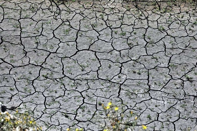 An einem Ort fallen zu viele Niedersch...awandels sind nicht mehr zu bersehen.  | Foto: -- (dpa)