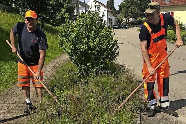 Ettenheim sucht Grnpaten