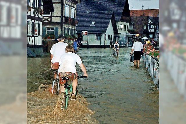 Wie ist Friesenheim vor Hochwasser geschützt?