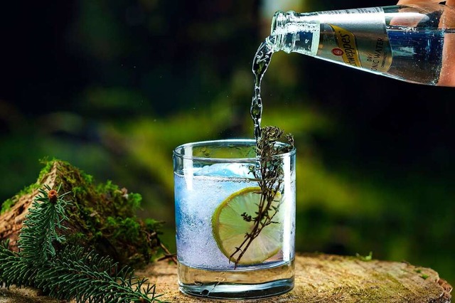 Perfect match: Gin Tonic  | Foto: Valentin Behringer