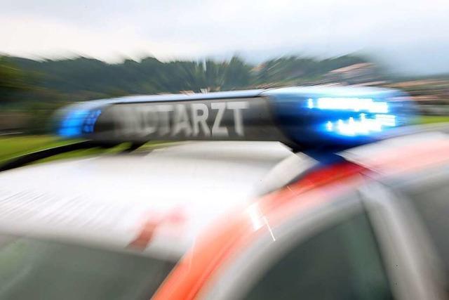 Zwei Verletzte nach Auffahrunfall an Ampel in Gutach
