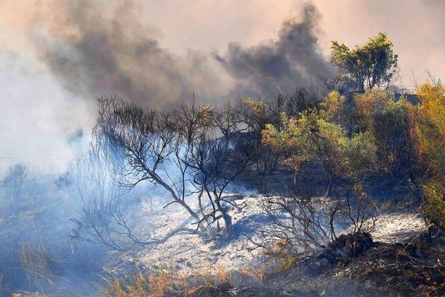 48,8 Grad auf Sizilien – Hitze und Brnde nehmen kein Ende