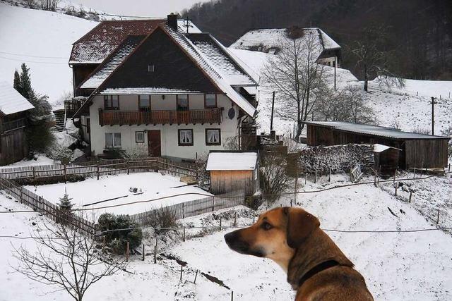 Eine Winterwaldwanderung mit Einkehr im 