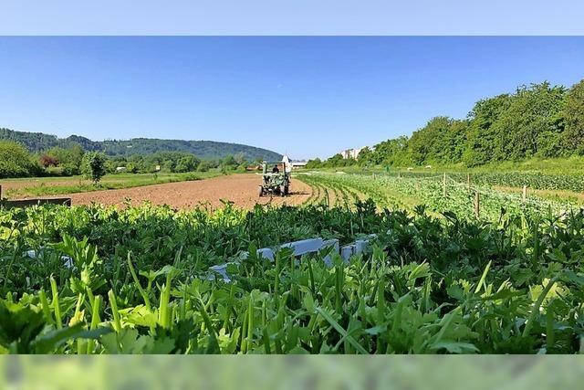 Mit dem BUND zum Biolandbetrieb Eulenhof in Dogern