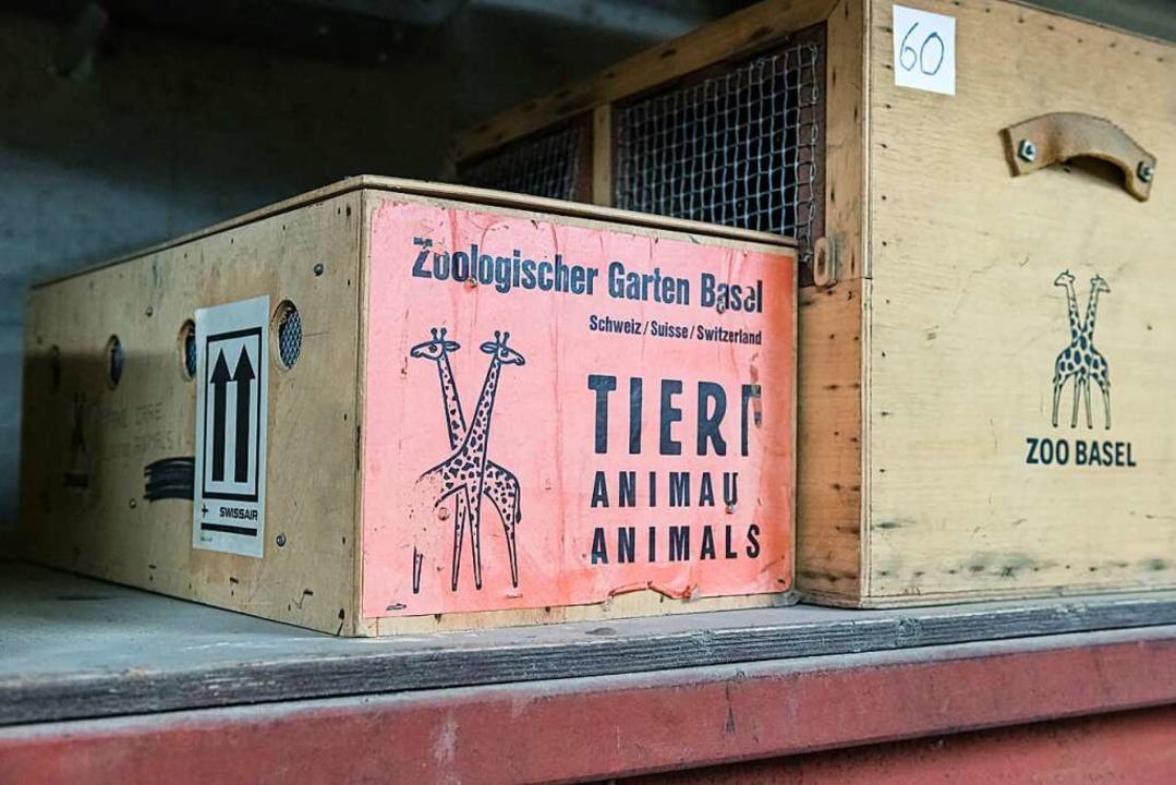 Transportboxen des Basler Zoos  | Foto: Torben Weber (Zoo Basel)