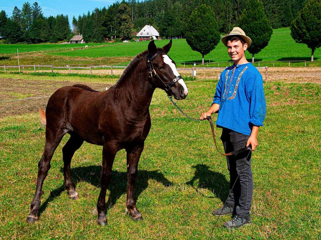 Das Fohlen Dorino von Christina Laubis aus Titisee Neustadt wurde  mit Gold ausgezeichnet. 