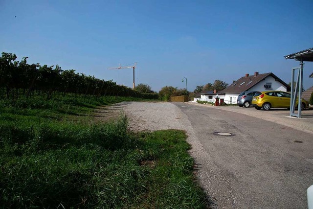 Das Baugebiet Erbrain IV in Heitersheim nimmt wieder Fahrt auf.  | Foto: Volker Mnch