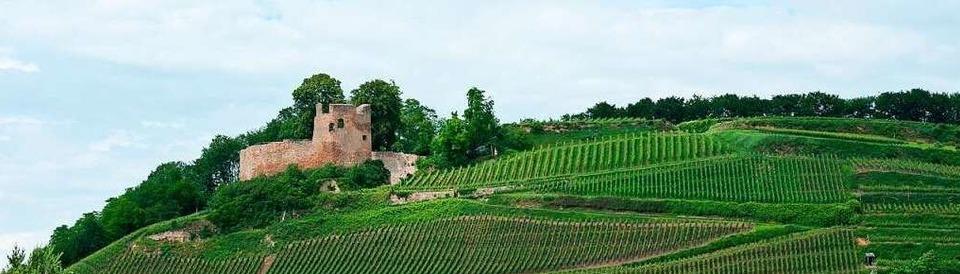 Burgenwanderungen im Breisgau