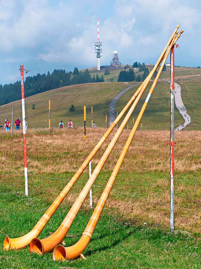 Ausgedient: Alphrner amSchneepfahl.