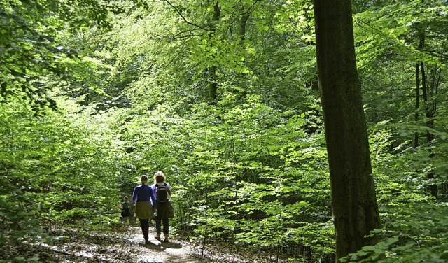 Die Sinne schrfen beim Wandern &#8211; auch darum geht es Isabell Rser.  | Foto: Uwe Zucchi (dpa)