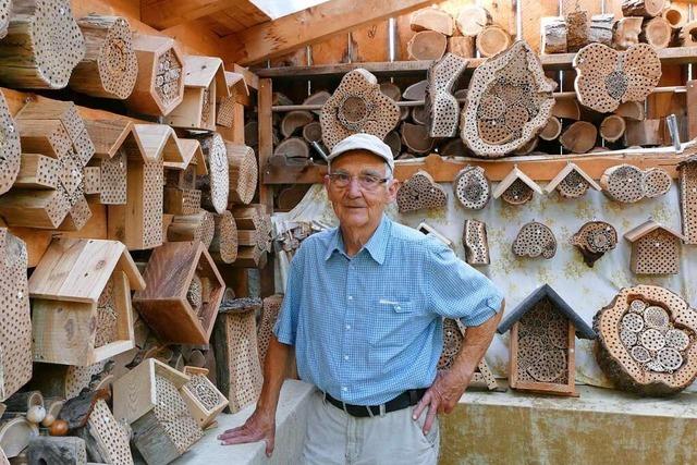 Das ist beim Bau eines Wildbienenhotels zu beachten