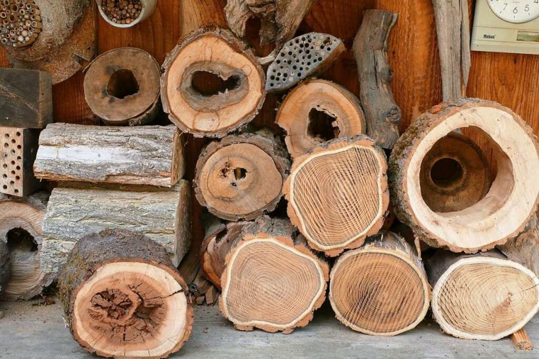 Aus Holz wie diesem entstehen Nisthilfen für Wildbienen ...  | Foto: Susanne Ehmann