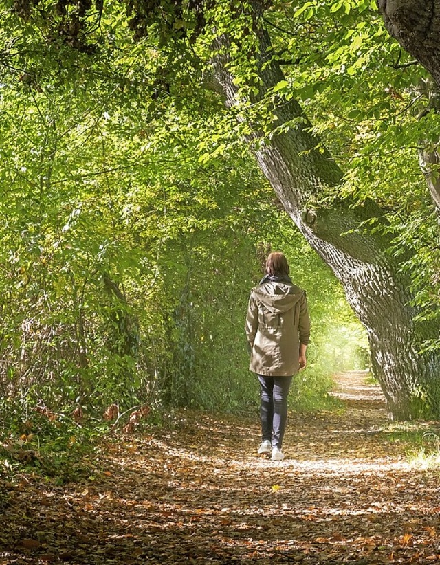 Immer mehr Menschen wissen die Bewegung in der Natur zu schtzen.  | Foto: Christoph Walter - stock.adobe.com adobe.com