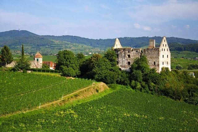 Das Schloss Burkheim: Ein Ort mit besonderem Ambiente