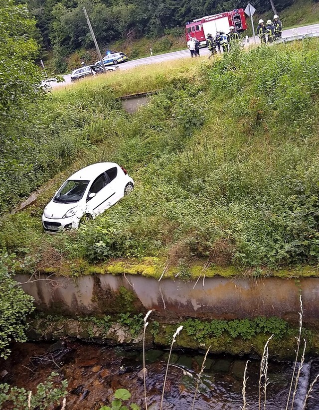 Nach Kollision von der Strae abgekomm...or dem Bachbett der Steina zum Stehen.  | Foto: Feuerwehr