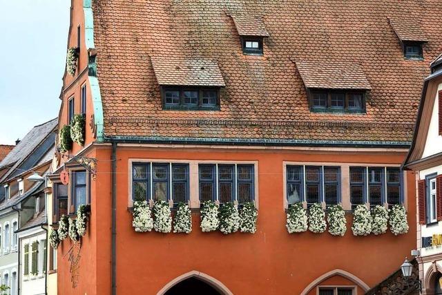 Die Chrysanthema in Lahr steht wieder auf der Kippe