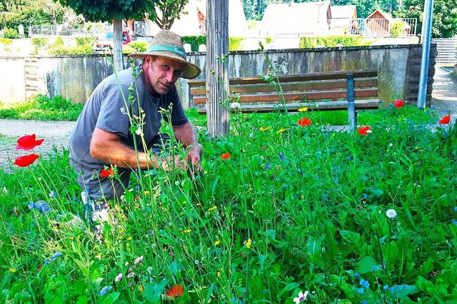 Blhende Ideen hat Bauhofleiter Mathia...midt, um Flchen kologisch anzulegen.  | Foto: Beate Zehnle-Lehmann