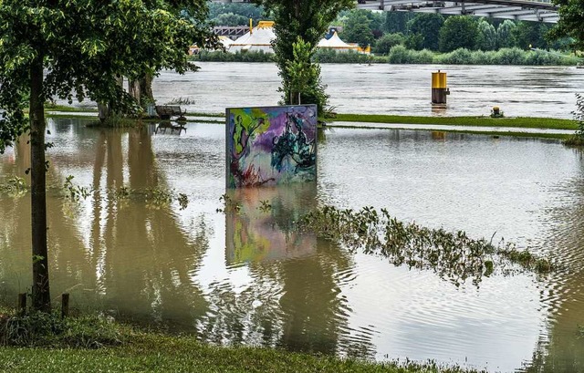 Kein ungewhnliches Bild in Kehl und Umgebung: Der Rhein berflutet sein Vorland  | Foto: Stadt Kehl